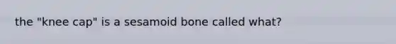 the "knee cap" is a sesamoid bone called what?