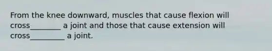 From the knee downward, muscles that cause flexion will cross________ a joint and those that cause extension will cross_________ a joint.