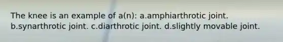 The knee is an example of a(n): a.amphiarthrotic joint. b.synarthrotic joint. c.diarthrotic joint. d.slightly movable joint.