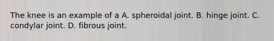 The knee is an example of a A. spheroidal joint. B. hinge joint. C. condylar joint. D. fibrous joint.