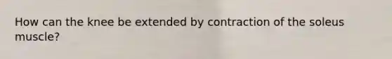 How can the knee be extended by contraction of the soleus muscle?