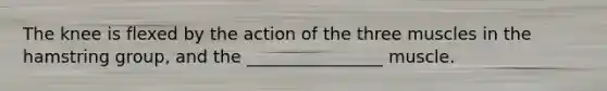 The knee is flexed by the action of the three muscles in the hamstring group, and the ________________ muscle.