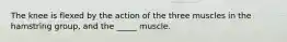 The knee is flexed by the action of the three muscles in the hamstring group, and the _____ muscle.