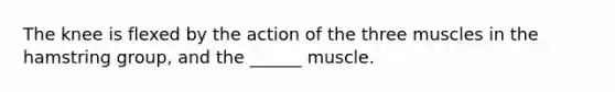 The knee is flexed by the action of the three muscles in the hamstring group, and the ______ muscle.