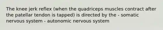 The knee jerk reflex (when the quadriceps muscles contract after the patellar tendon is tapped) is directed by the - somatic nervous system - autonomic nervous system