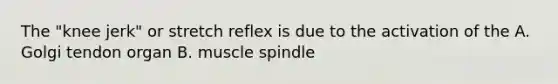 The "knee jerk" or stretch reflex is due to the activation of the A. Golgi tendon organ B. muscle spindle