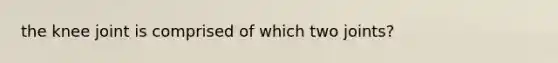 the knee joint is comprised of which two joints?