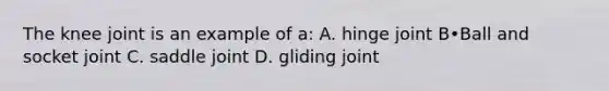 The knee joint is an example of a: A. hinge joint B•Ball and socket joint C. saddle joint D. gliding joint