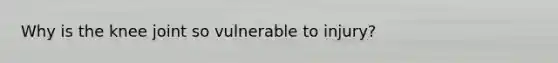 Why is the knee joint so vulnerable to injury?