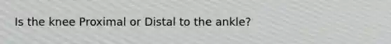 Is the knee Proximal or Distal to the ankle?