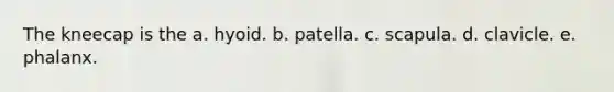 The kneecap is the a. hyoid. b. patella. c. scapula. d. clavicle. e. phalanx.