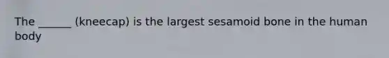 The ______ (kneecap) is the largest sesamoid bone in the human body