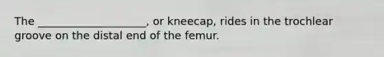 The ____________________, or kneecap, rides in the trochlear groove on the distal end of the femur.