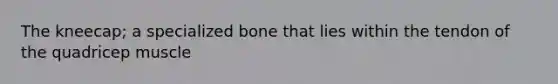 The kneecap; a specialized bone that lies within the tendon of the quadricep muscle