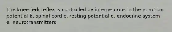 The knee-jerk reflex is controlled by interneurons in the a. action potential b. spinal cord c. resting potential d. endocrine system e. neurotransmitters