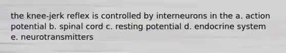 the knee-jerk reflex is controlled by interneurons in the a. action potential b. spinal cord c. resting potential d. endocrine system e. neurotransmitters