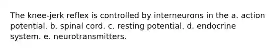 The knee-jerk reflex is controlled by interneurons in the a. action potential. b. spinal cord. c. resting potential. d. endocrine system. e. neurotransmitters.