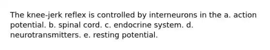 The knee-jerk reflex is controlled by interneurons in the a. action potential. b. spinal cord. c. endocrine system. d. neurotransmitters. e. resting potential.