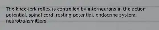 The knee-jerk reflex is controlled by interneurons in the action potential. spinal cord. resting potential. endocrine system. neurotransmitters.