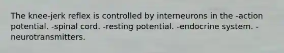 The knee-jerk reflex is controlled by interneurons in the -action potential. -spinal cord. -resting potential. -endocrine system. -neurotransmitters.