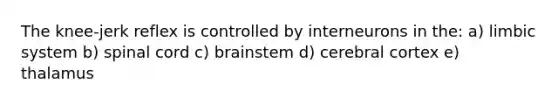 The knee-jerk reflex is controlled by interneurons in the: a) limbic system b) spinal cord c) brainstem d) cerebral cortex e) thalamus