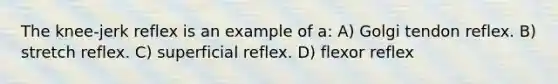 The knee-jerk reflex is an example of a: A) Golgi tendon reflex. B) stretch reflex. C) superficial reflex. D) flexor reflex