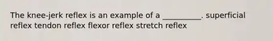 The knee-jerk reflex is an example of a __________. superficial reflex tendon reflex flexor reflex stretch reflex