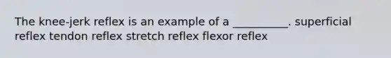 The knee-jerk reflex is an example of a __________. superficial reflex tendon reflex stretch reflex flexor reflex