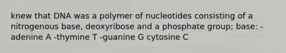 knew that DNA was a polymer of nucleotides consisting of a nitrogenous base, deoxyribose and a phosphate group; base: -adenine A -thymine T -guanine G cytosine C