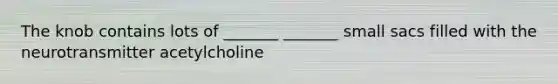The knob contains lots of _______ _______ small sacs filled with the neurotransmitter acetylcholine