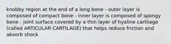 knobby region at the end of a long bone - outer layer is composed of compact bone - inner layer is composed of spongy bone - joint surface covered by a thin layer of hyaline cartliage (called ARTICULAR CARTILAGE) that helps reduce friction and absorb shock