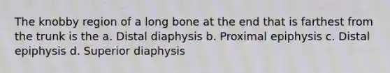 The knobby region of a long bone at the end that is farthest from the trunk is the a. Distal diaphysis b. Proximal epiphysis c. Distal epiphysis d. Superior diaphysis