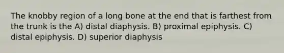 The knobby region of a long bone at the end that is farthest from the trunk is the A) distal diaphysis. B) proximal epiphysis. C) distal epiphysis. D) superior diaphysis