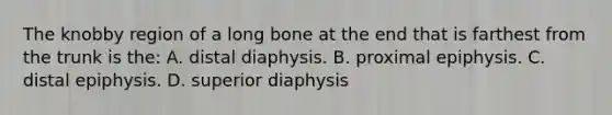 The knobby region of a long bone at the end that is farthest from the trunk is the: A. distal diaphysis. B. proximal epiphysis. C. distal epiphysis. D. superior diaphysis