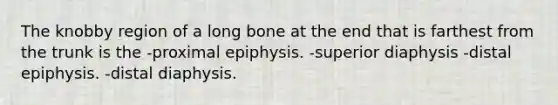 The knobby region of a long bone at the end that is farthest from the trunk is the -proximal epiphysis. -superior diaphysis -distal epiphysis. -distal diaphysis.