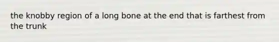 the knobby region of a long bone at the end that is farthest from the trunk