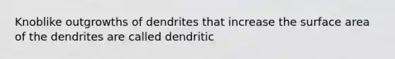 Knoblike outgrowths of dendrites that increase the surface area of the dendrites are called dendritic