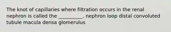 The knot of capillaries where filtration occurs in the renal nephron is called the __________. nephron loop distal convoluted tubule macula densa glomerulus