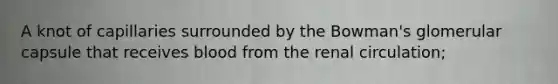 A knot of capillaries surrounded by the Bowman's glomerular capsule that receives blood from the renal circulation;