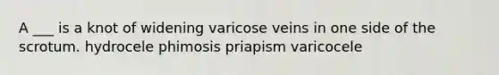 A ___ is a knot of widening varicose veins in one side of the scrotum. hydrocele phimosis priapism varicocele