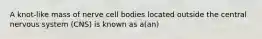 A knot-like mass of nerve cell bodies located outside the central nervous system (CNS) is known as a(an)
