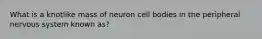 What is a knotlike mass of neuron cell bodies in the peripheral nervous system known as?