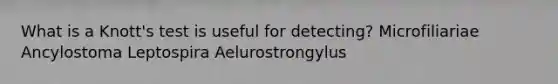 What is a Knott's test is useful for detecting? Microfiliariae Ancylostoma Leptospira Aelurostrongylus