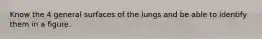 Know the 4 general surfaces of the lungs and be able to identify them in a figure.