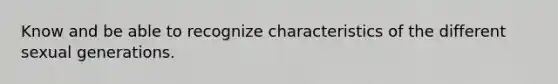 Know and be able to recognize characteristics of the different sexual generations.