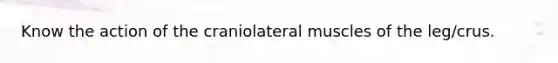 Know the action of the craniolateral muscles of the leg/crus.