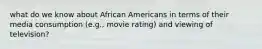 what do we know about African Americans in terms of their media consumption (e.g., movie rating) and viewing of television?