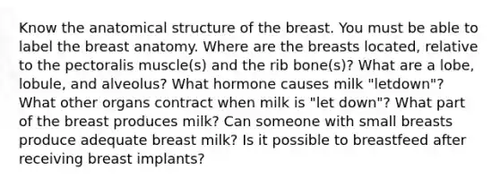 Know the anatomical structure of the breast. You must be able to label the breast anatomy. Where are the breasts located, relative to the pectoralis muscle(s) and the rib bone(s)? What are a lobe, lobule, and alveolus? What hormone causes milk "letdown"? What other organs contract when milk is "let down"? What part of the breast produces milk? Can someone with small breasts produce adequate breast milk? Is it possible to breastfeed after receiving breast implants?