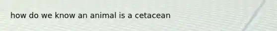 how do we know an animal is a cetacean