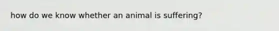 how do we know whether an animal is suffering?